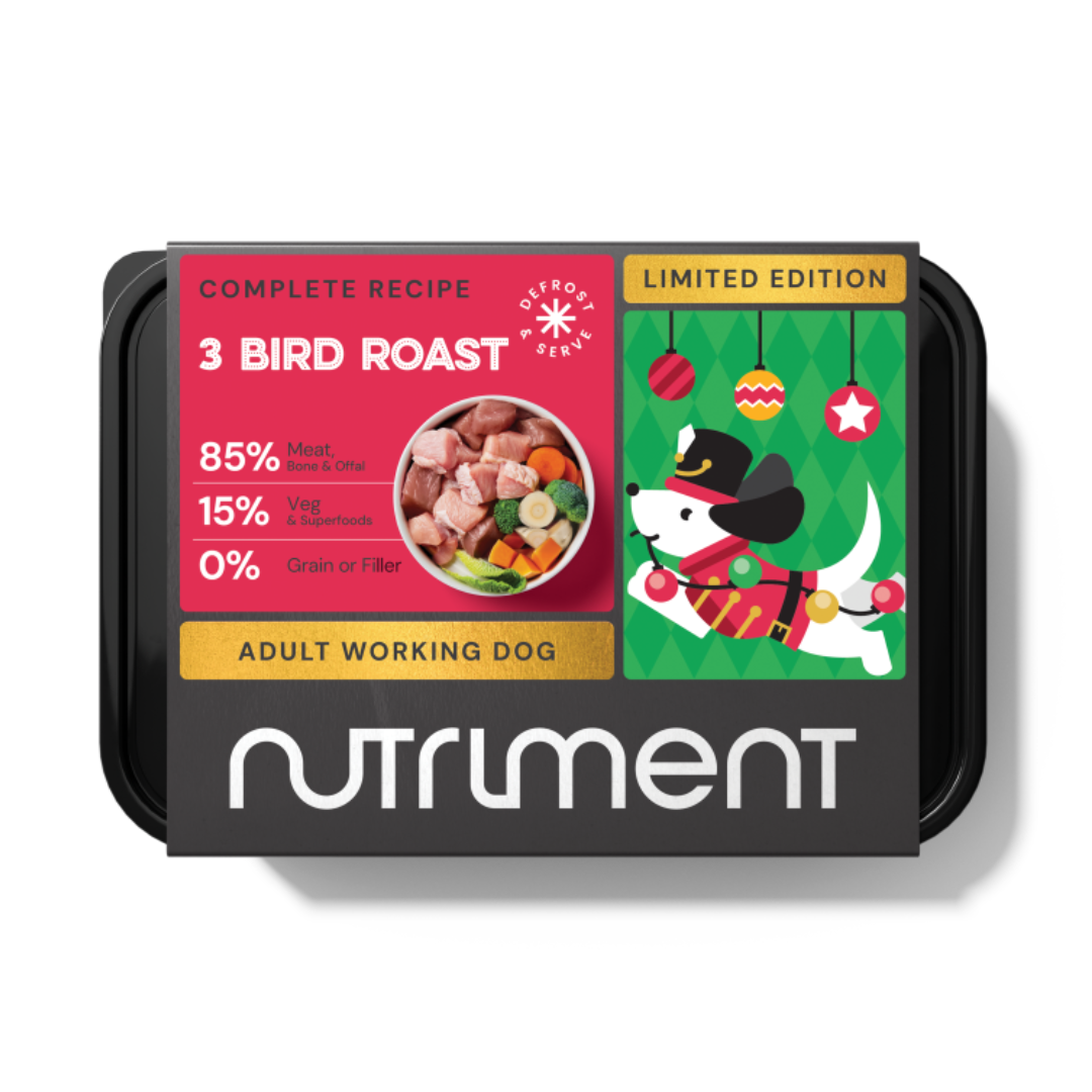 Limited edition Raw 3 Bird Roast 500g dog food with festive packaging and a cartoon dog.