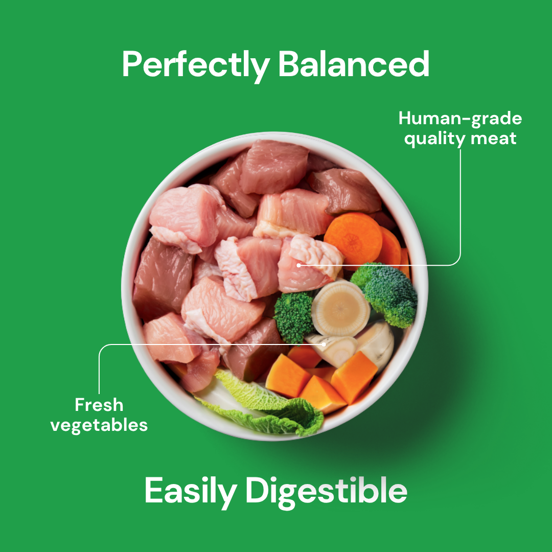 A bowl of Raw 3 Bird Roast 500g – Christmas Limited Edition, balanced and easily digestible dog food.