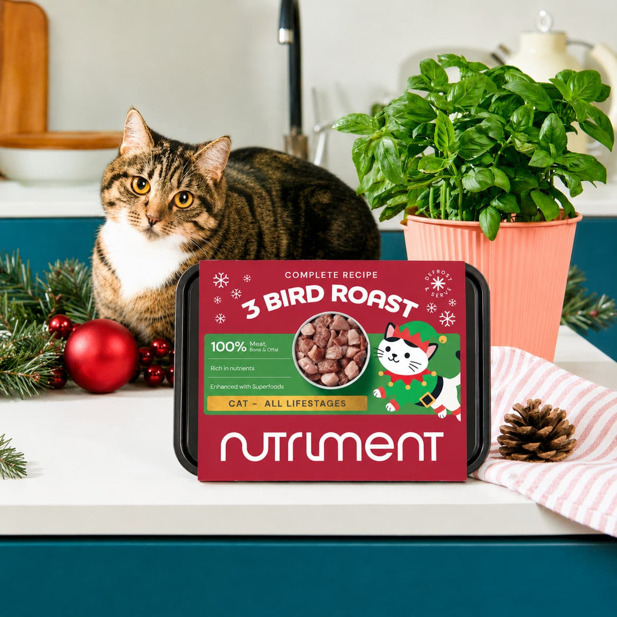 A tabby cat sits next to a tray of Cat Raw 3 Bird Roast 500g - Christmas Limited Edition featuring a festive cat.