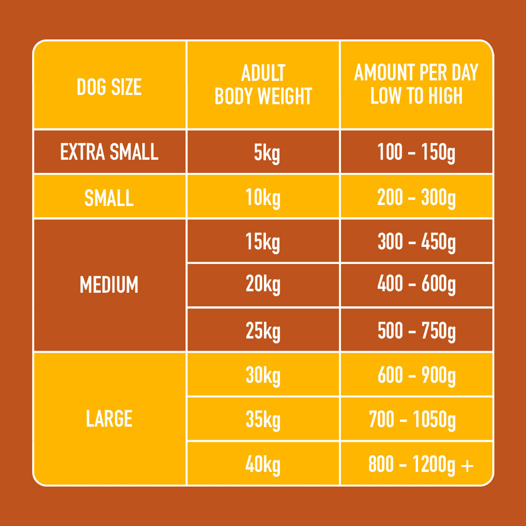 Size-based dog feeding chart with weight & daily food amounts, using Raw Turkey 1kg: extra small to large.
