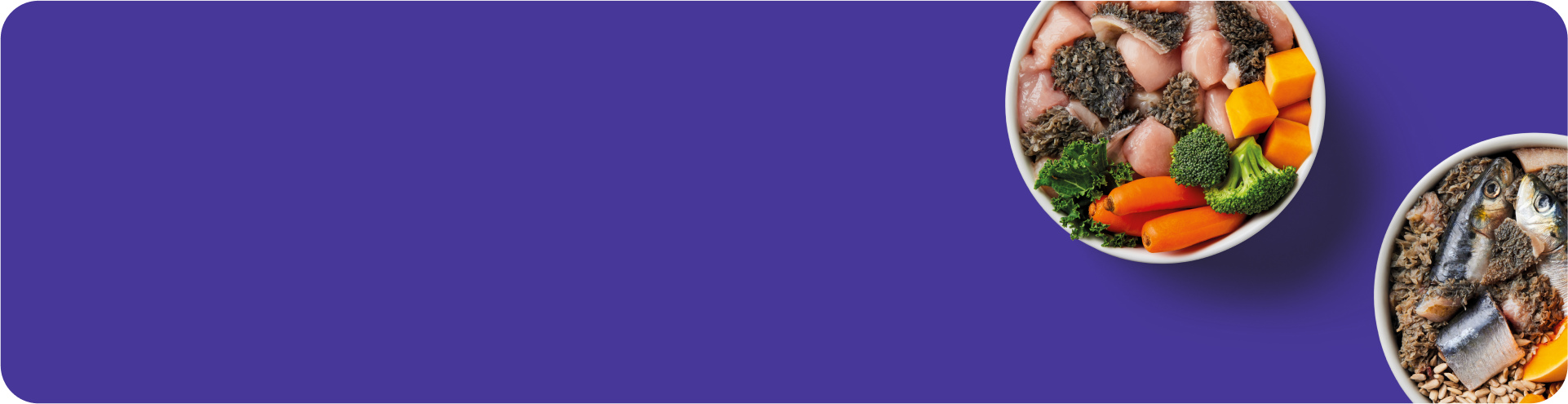 Two bowls of diverse food, including vegetables and fish, against a solid purple background.