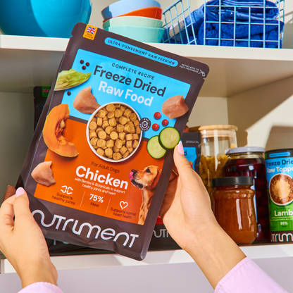 Person holds a bag of Freeze Dried Food - Beef 225g in front of a kitchen pantry shelf.