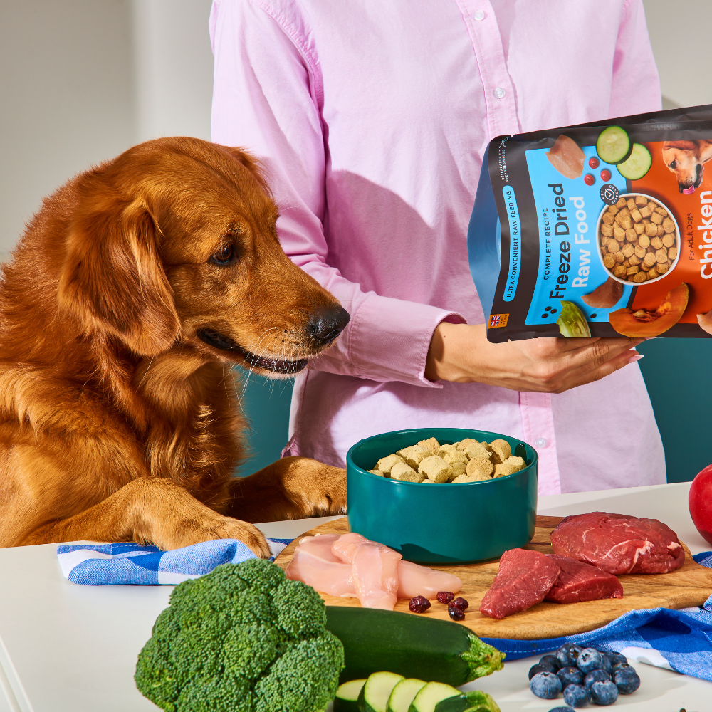 A dog eyes Freeze Dried Food - Lamb 225g while someone prepares fresh raw food with meat, veggies, and fruits.