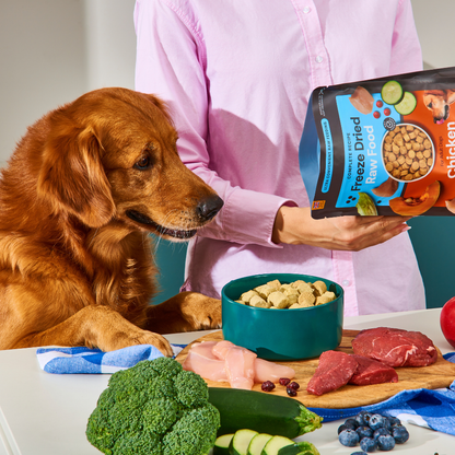 A dog eyes Freeze Dried Food - Chicken 225g, held by a person, amid fresh meat and veggies on the table.