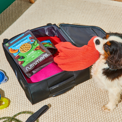 A dog pulls a sweater from a suitcase packed with Freeze Dried Food - Lamb 225g on a carpeted floor.