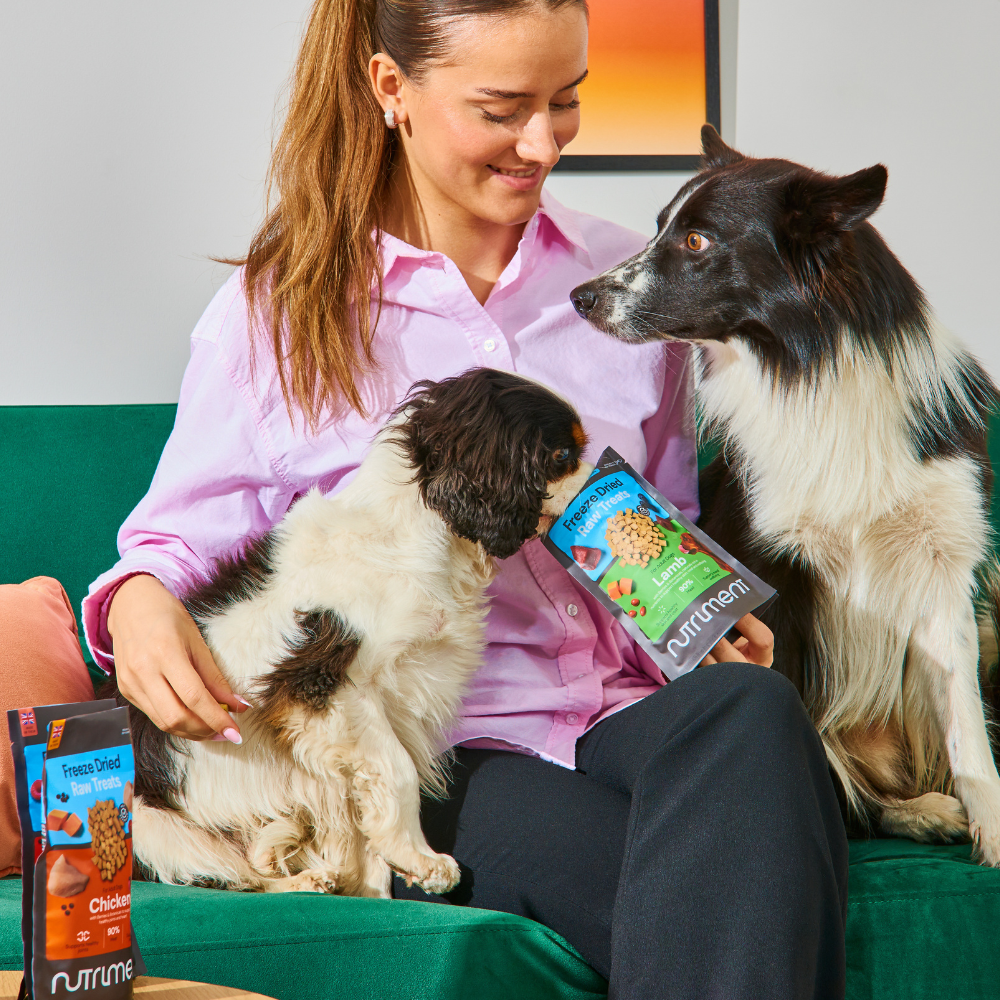Woman on a green couch with two dogs, holding a bag of Freeze Dried Treats - Lamb 30g.