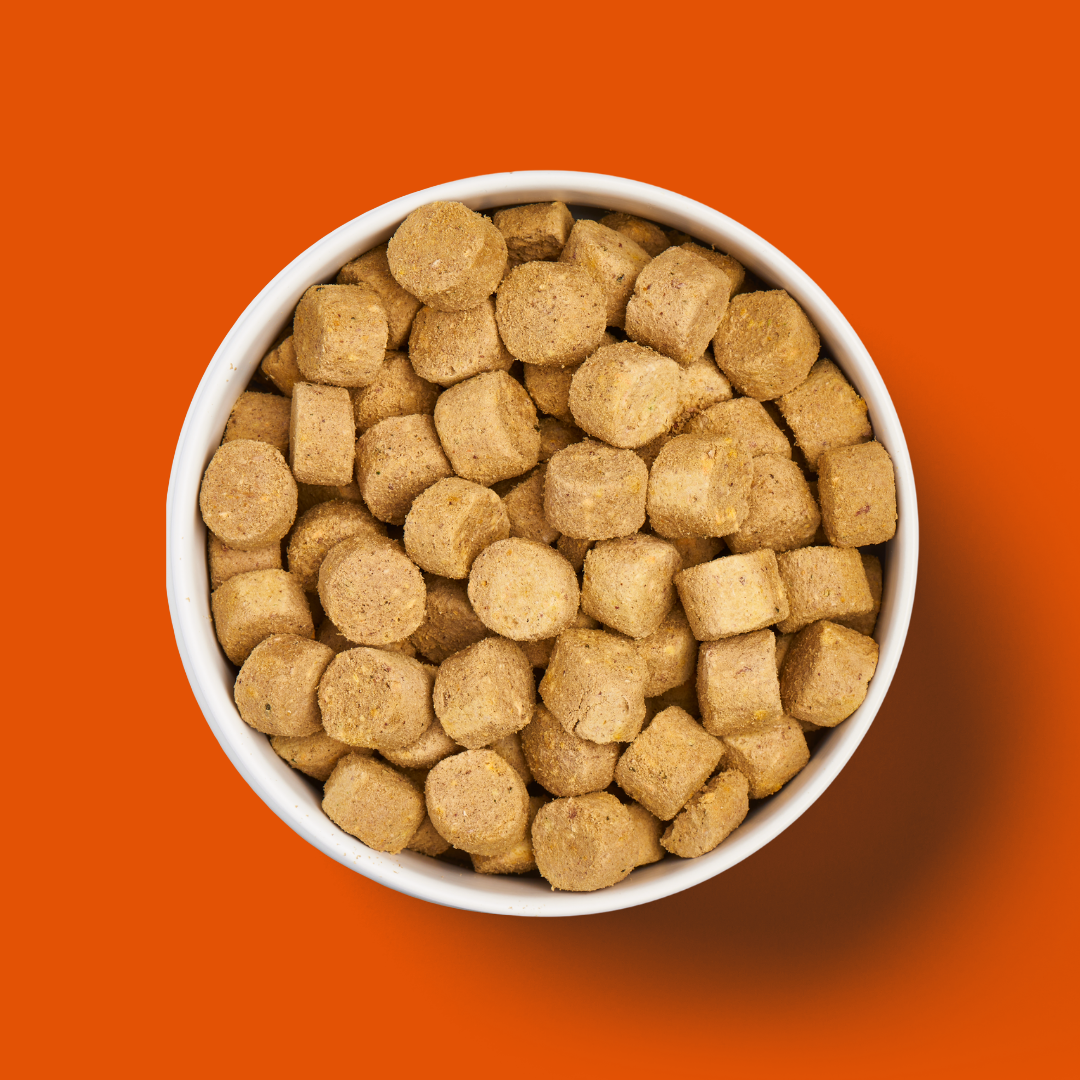 A white bowl filled with round brown kibble pieces on an orange background.