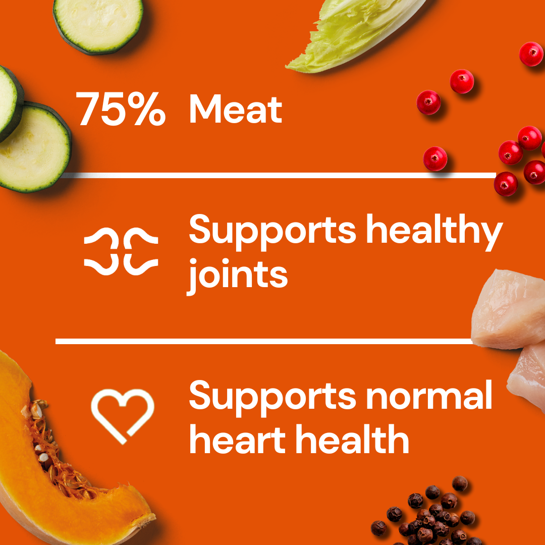 Infographic on Freeze Dried Food - Chicken 225g: meat content, health benefits, veggies & berries, orange background.