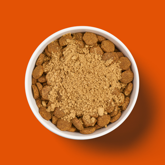 A white bowl of Freeze Dried Topper - Chicken 50g sits on a bright orange background.
