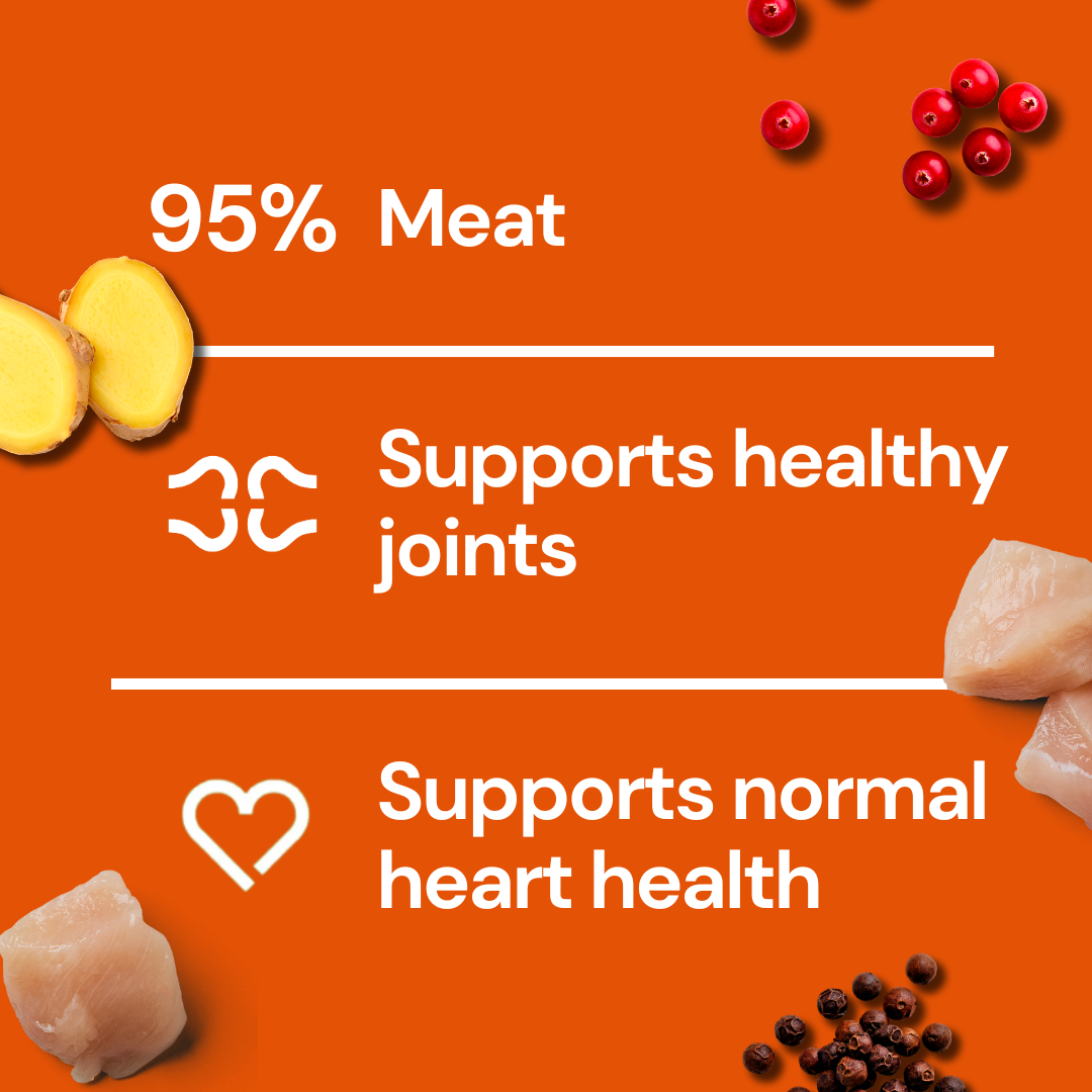 Orange graphic highlights meat content, health benefits, ginger, berries & chicken in Freeze Dried Topper - Chicken 50g.