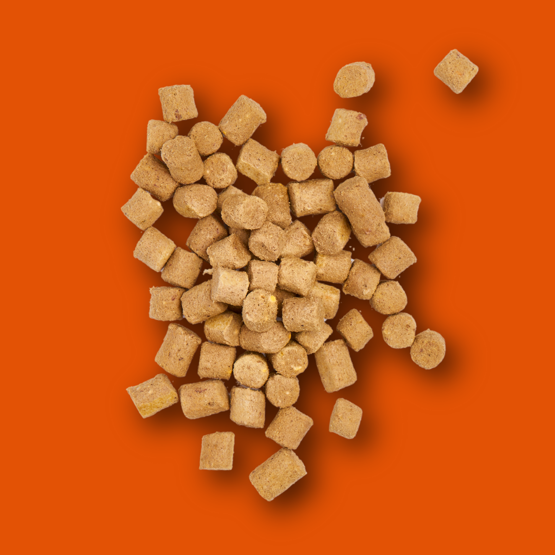 A pile of Freeze Dried Treats - Chicken 30g on an orange background.