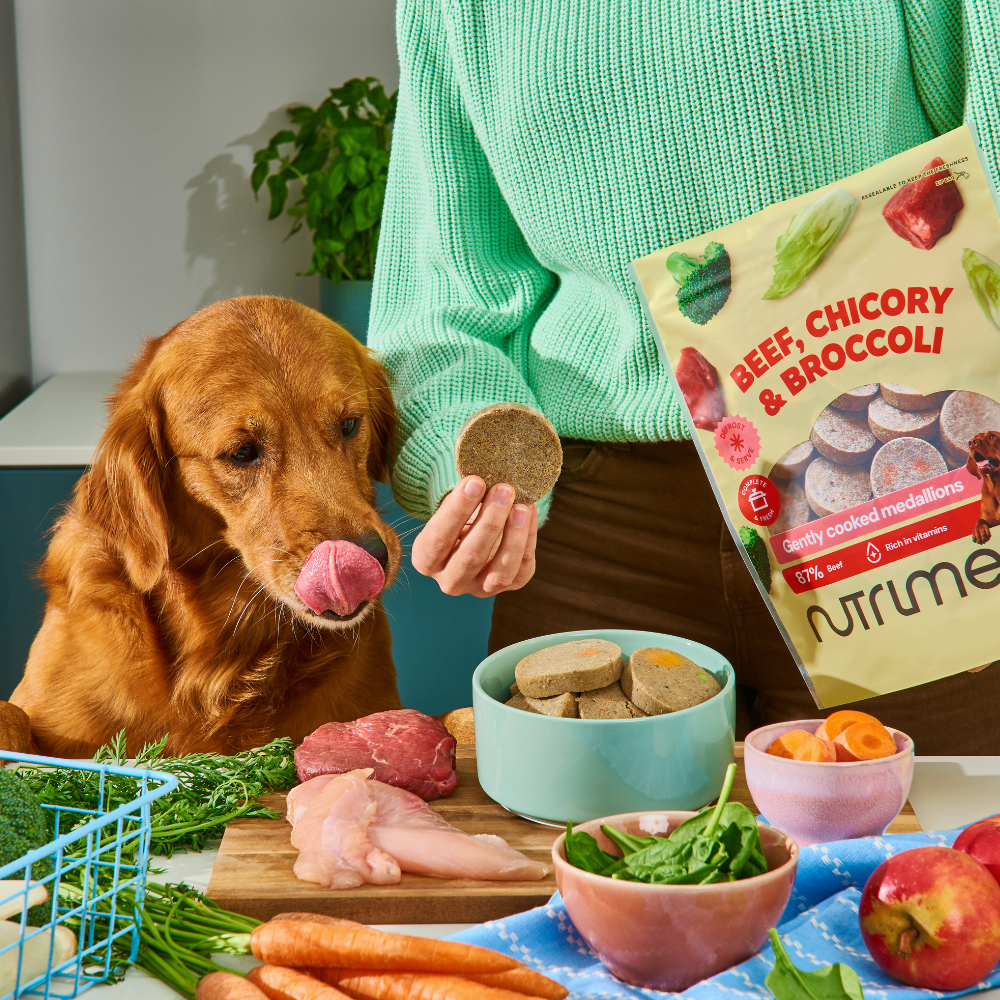 A dog licks its lips as a person holds a Fresh Medallion Bundle (8 x 800g) in the kitchen.