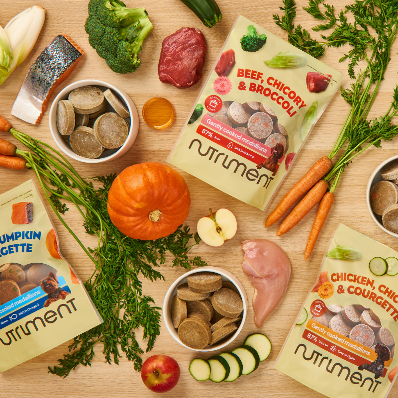 Pet food packages with raw meat, vegetables, and herbs arranged on a wooden surface.