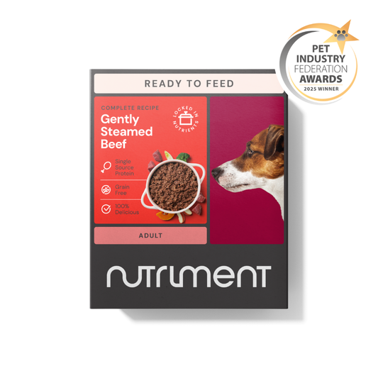 Gently Steamed Beef 395g—easy-to-digest, award-winning raw alternative dog food for adults.