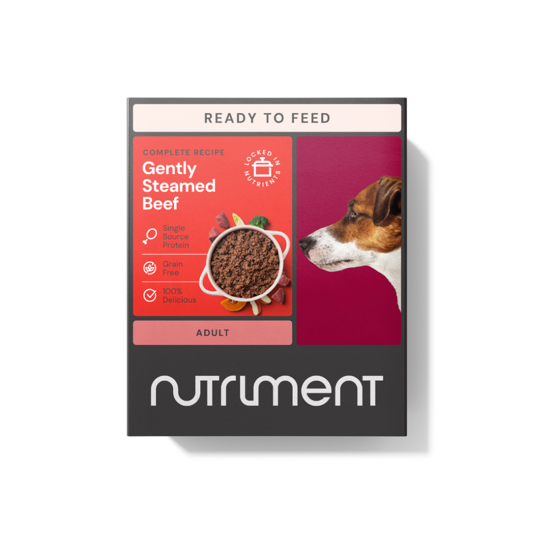 Gently Steamed Beef 395g, a raw alternative dog food, with a dog gazing eagerly at its bowl.