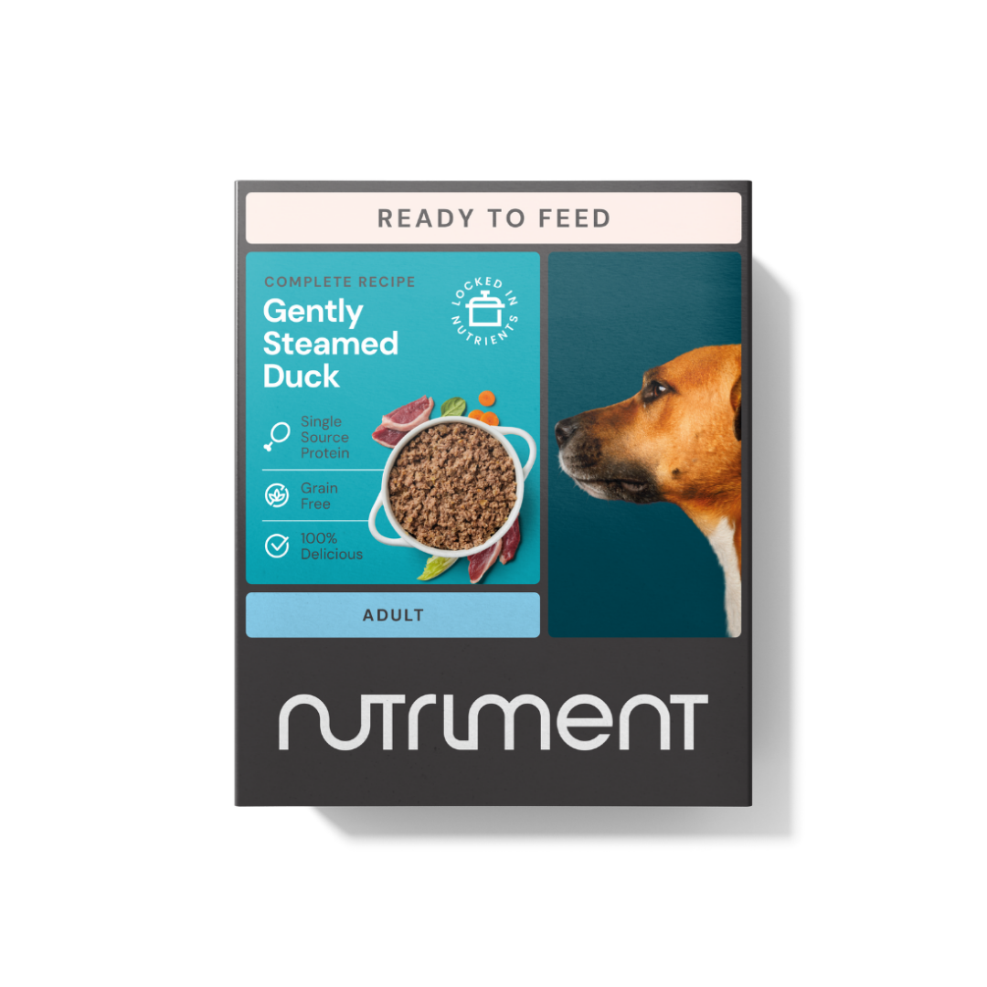 Gently Steamed Duck 395g—an easy-to-store raw alternative dog food.
