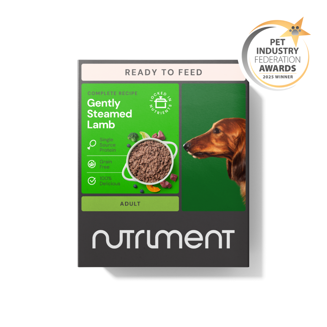 Gently Steamed Lamb 395g dog food box with dog image and Pet Industry Federation Awards 2023 Winner badge.