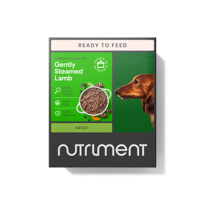 Gently Steamed Lamb 395g dog food, easy to digest, with a brown dog photo on the right of the box.