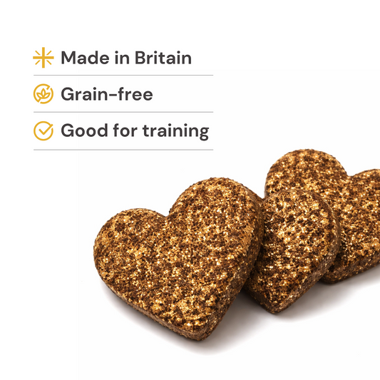 Chicken Gourmet Love Bites (250g): grain-free dog treats, made in Britain, perfect for training.