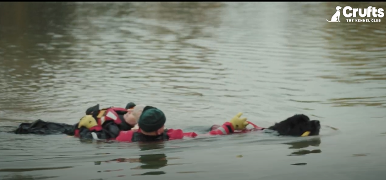 Load video: Kennel Club Hero Dog Award 2022