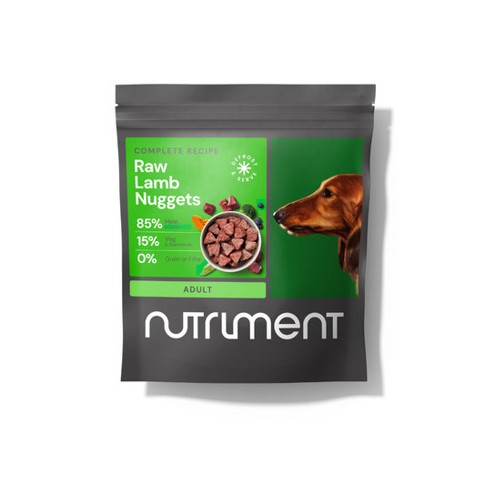 A bag of Raw Beef Nuggets 1kg, featuring fresh meat nuggets and a dog on the label. Grain-free pet food.