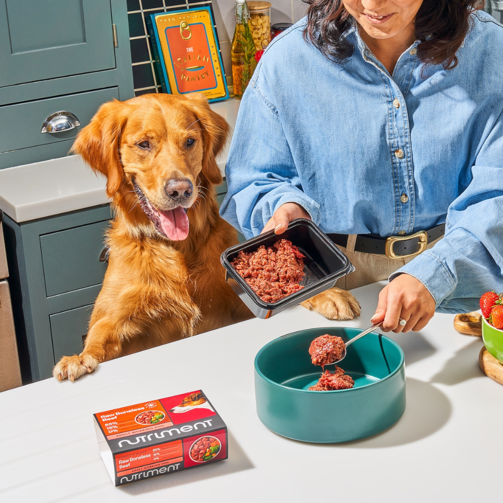 A woman serves raw dog food into a bowl while a happy dog looks on eagerly in a kitchen.