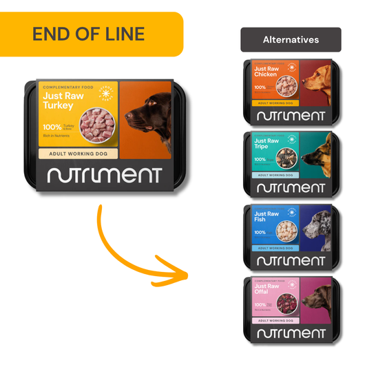 Yellow "End of Line" sign above dog food. Five Just Raw Turkey 500g trays are displayed.