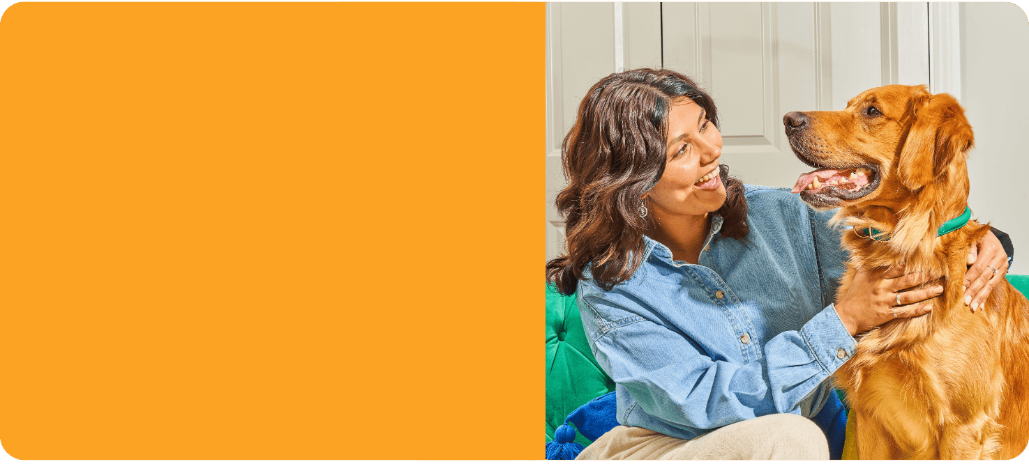 Woman in blue shirt smiling and petting a happy golden retriever dog indoors, with orange background on the left.