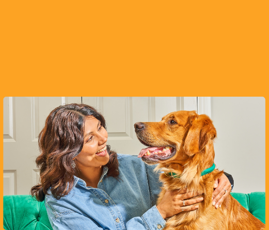 A woman smiles while petting a happy golden retriever on a green couch, with an orange background above.