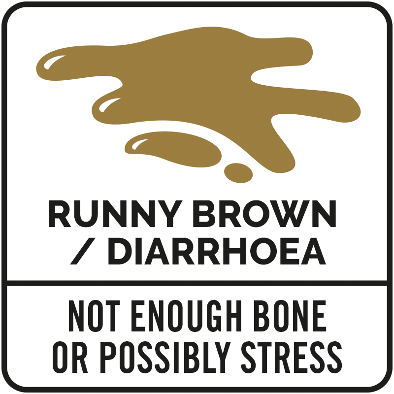 Brown splatter graphic with text: "Runny Brown / Diarrhoea. Not enough bone or possibly stress.