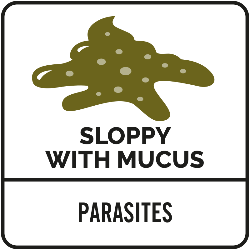 Illustration of green mucus with text "Sloppy with Mucus" above "Parasites" on a white background.