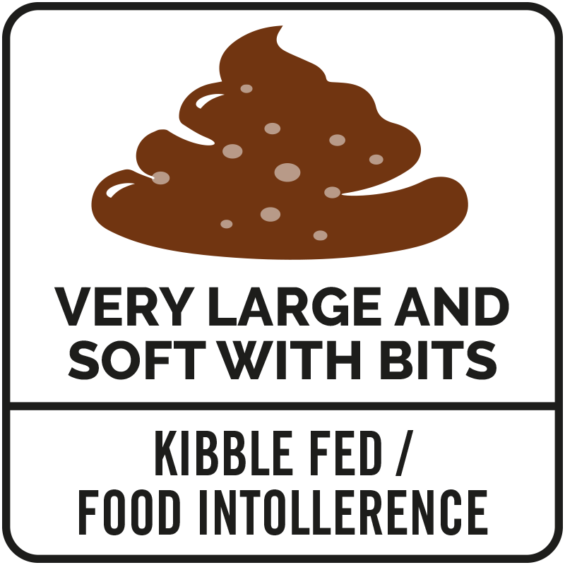 Brown poop icon labeled "Very Large and Soft with Bits," "Kibble Fed / Food Intolerance.
