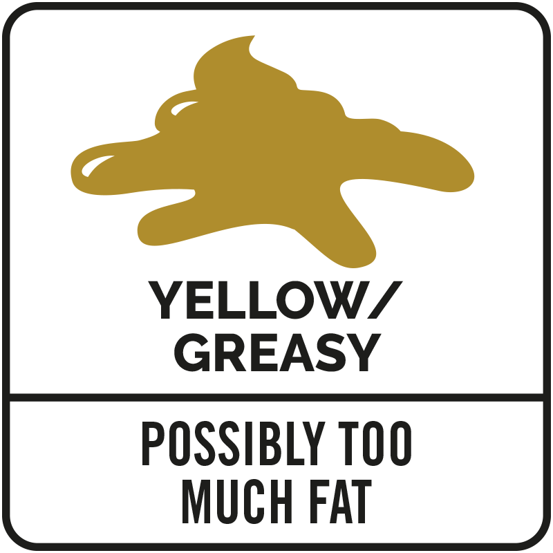 Icon with yellow grease stain and text: "Yellow/Greasy" and "Possibly Too Much Fat.