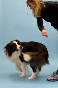 RS_Learn_spin_5