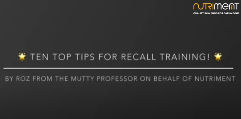 Load video: Top 10 Tips for Dog Owners mutty professor