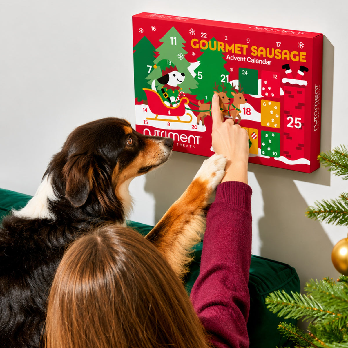 Person and dog interacting with a Gourmet Sausage advent calendar