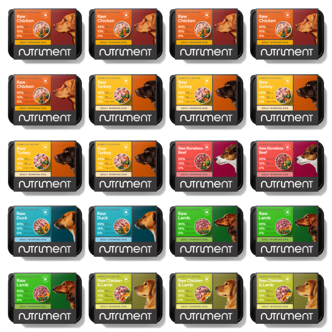 Twenty trays of 10kg Adult Mixer Box raw dog food, assorted flavors, arranged in a grid pattern.