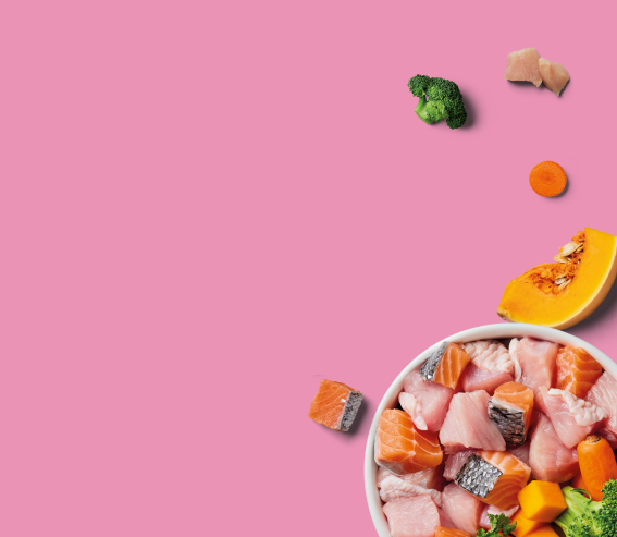 Nutriment's Salmon and Turkey recipe bowl with ingredients. Broccoli, butternut squash, carrot and kale pieces lie outside the bowl.