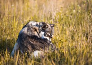Untitled_design_7_