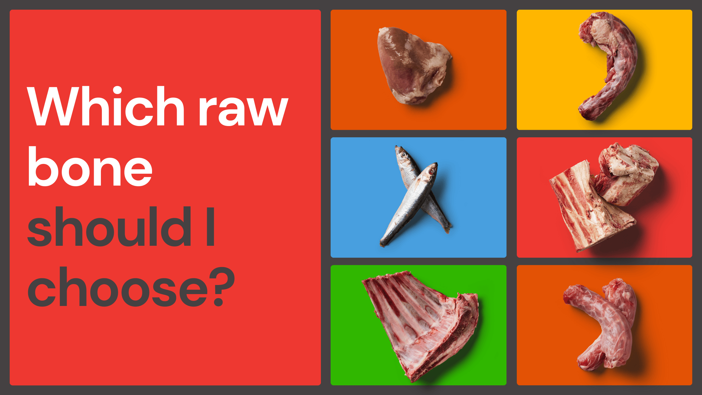 Six types of raw bones and fish on colored backgrounds, with text: "Which raw bone should I choose?.