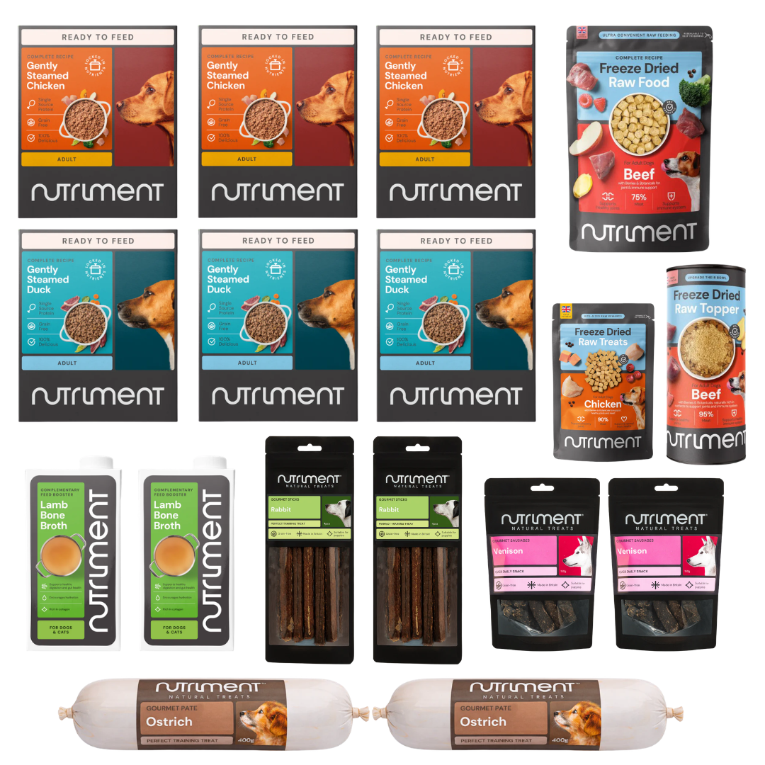 Adventure Dog Dad Bundle: natural dog food & premium treats, including meals, broths, and toppers displayed in rows.
