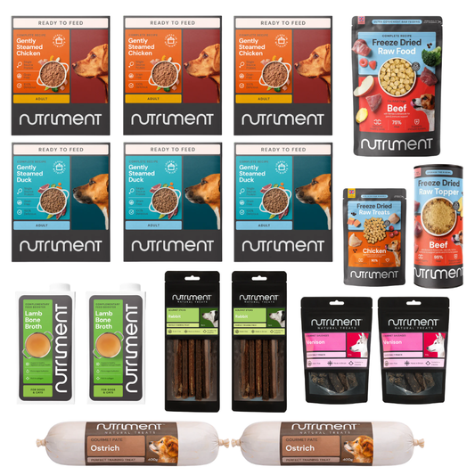 Adventure Dog Dad Bundle: natural dog food & premium treats, including meals, broths, and toppers displayed in rows.