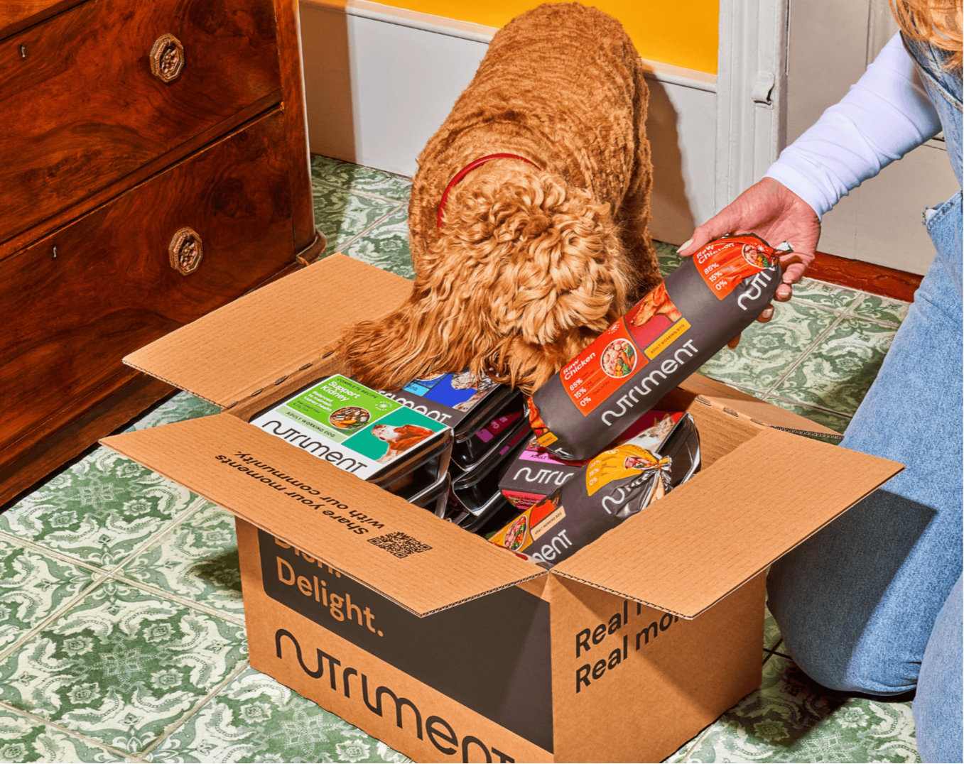 A dog sniffs canned pet food in an open Nutriment box while a person unpacks it on a green-tiled floor.