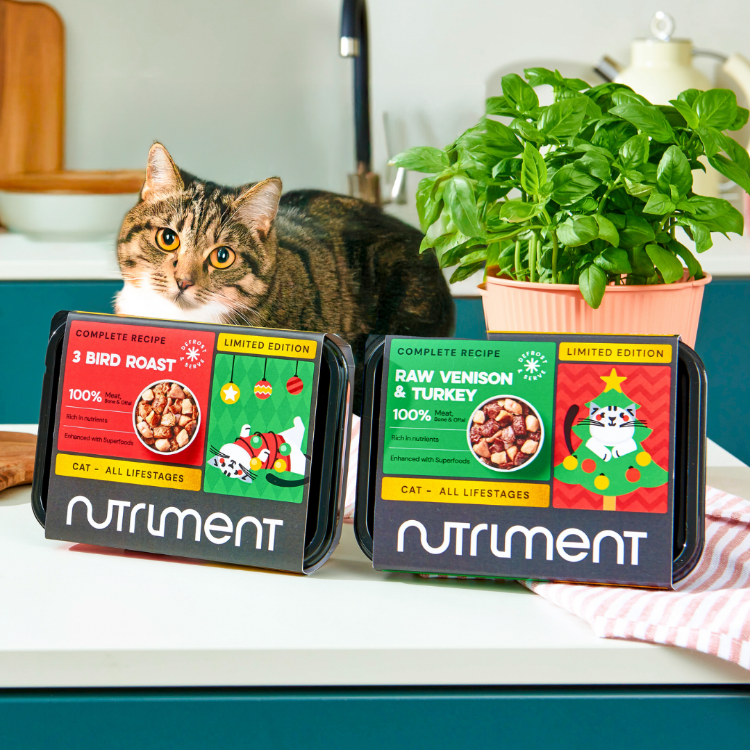 A tabby cat sits behind two packs of Cat Raw Venison & Turkey 500g - Christmas Limited Edition on the counter.