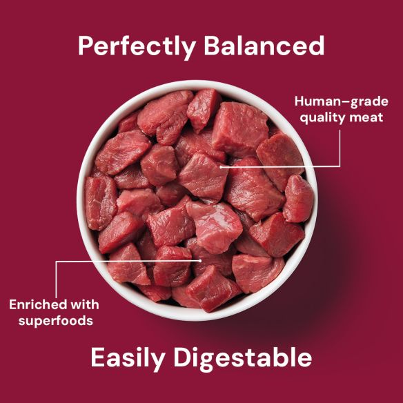 Bowl of Cat Beef Dinner 175g on red with text: "Perfectly Balanced," "Easily Digestible," ideal for cat food.
