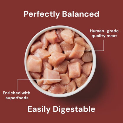 Cat Chicken Dinner 175g: Diced high-quality chicken on red background, labeled "Human-grade" & "Feline Health Enriched".