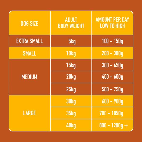 Feeding chart for Raw Turkey 1kg: sizes XS to L, 5kg to 40kg+, portions from 100g to over 1200g.