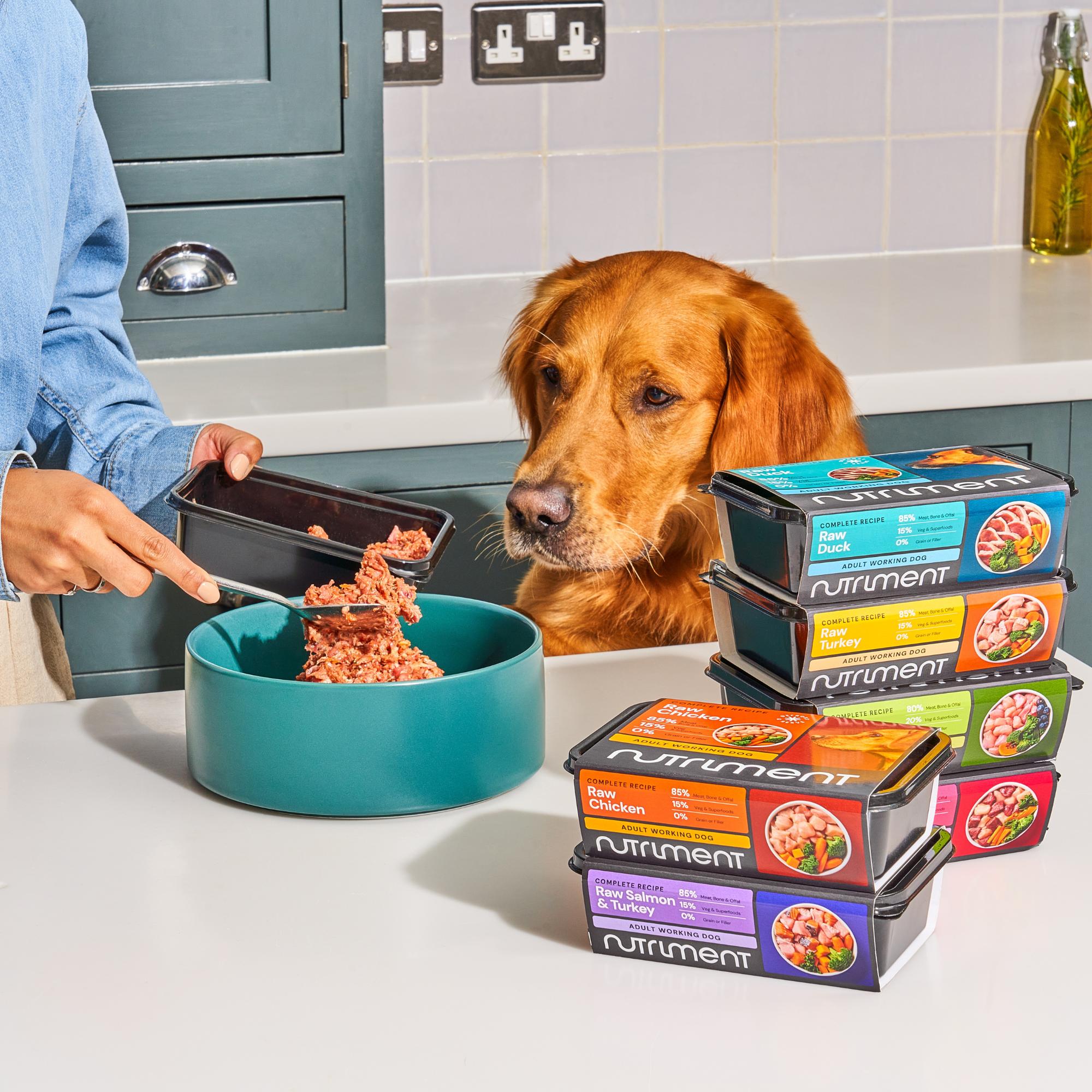 DDD - dish, a golden retriever watches their owner put raw dog food into a bowl on a kitchen counter. 