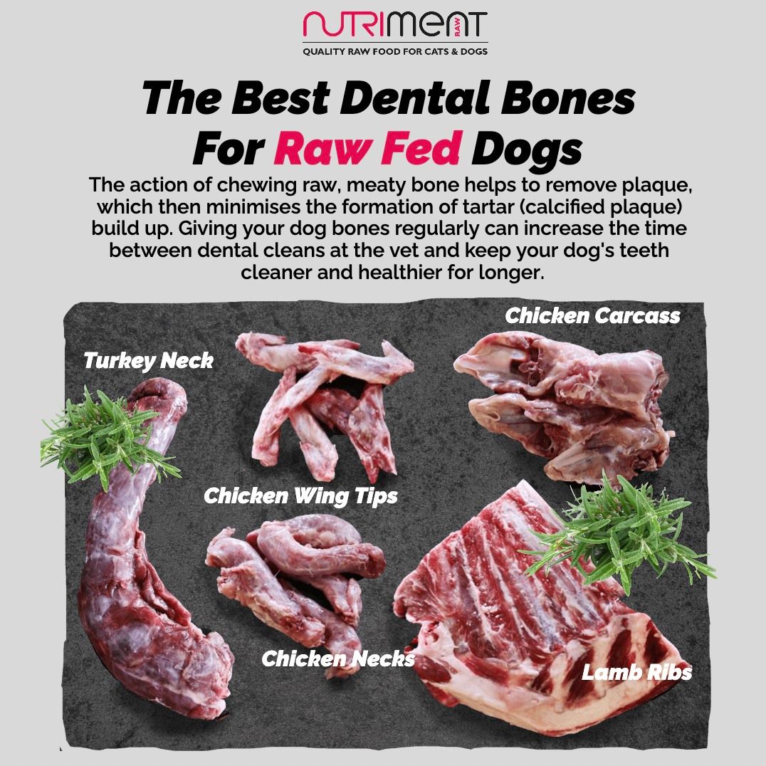 Various types of raw bones for dogs include chicken carcass, turkey neck, lamb ribs, chicken necks, and chicken wing tips.