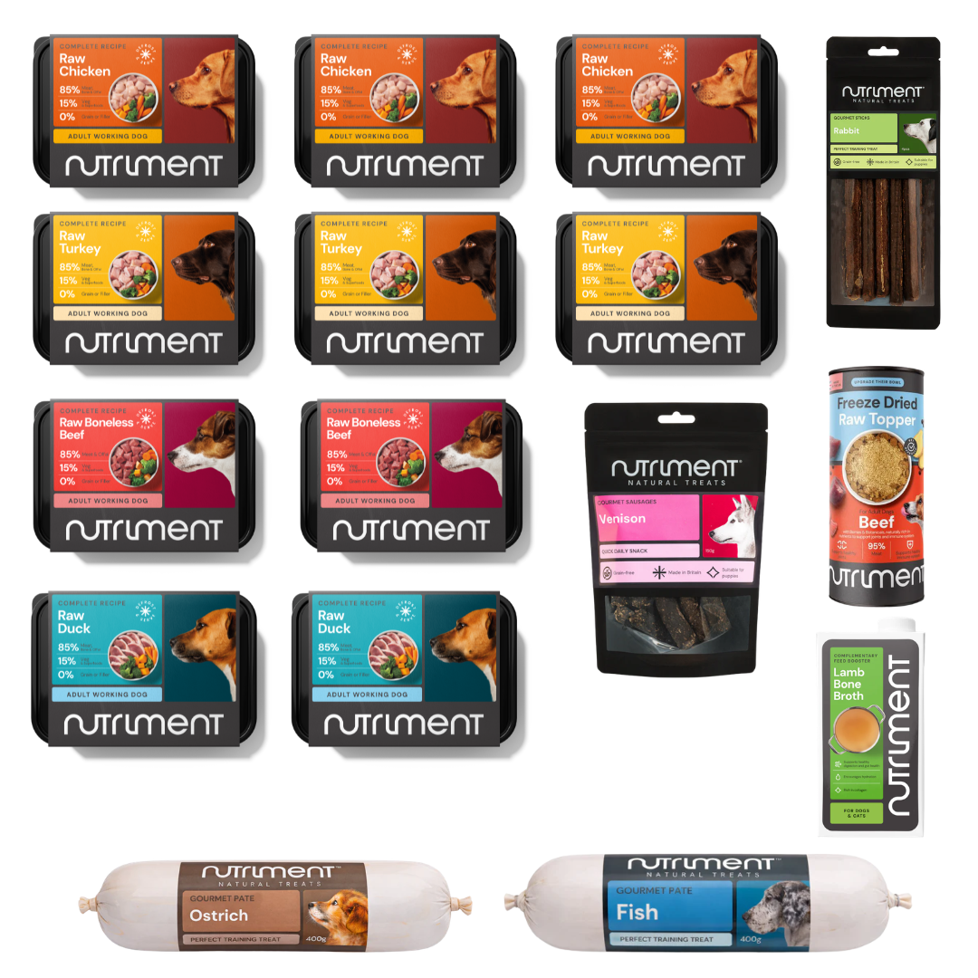 Dog Dad Feast Bundle—premium raw packs, treats & rolls in rows. Perfect Father’s Day dog gifts.